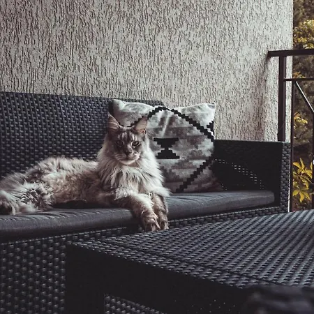 Pansiyon Goscinne Sylwia Krynica Morska
