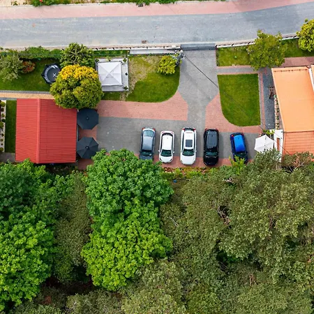 Goscinne Sylwia Проживание в семье *