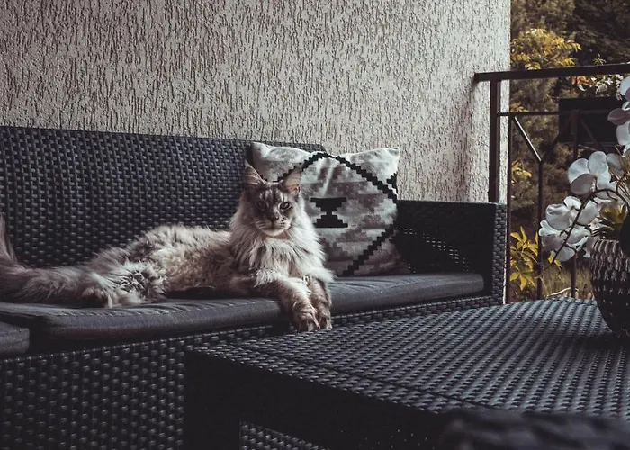 Pansiyon Goscinne Sylwia Krynica Morska