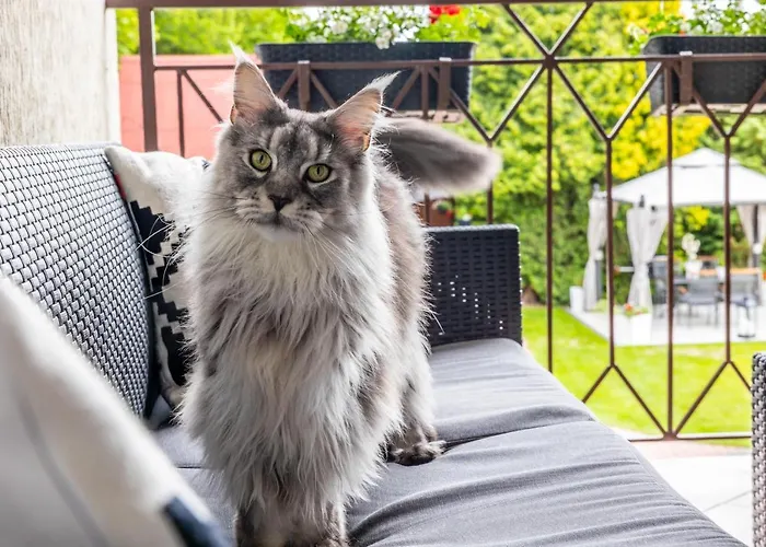 Goscinne Sylwia Krynica Morska