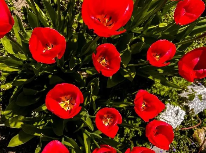 Pansiyon Goscinne Sylwia