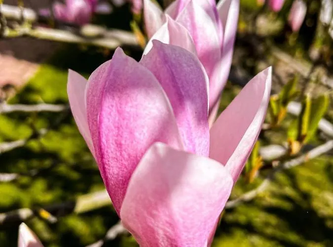 Pansiyon Goscinne Sylwia Krynica Morska